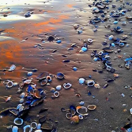 Gioiella Depandance 3* Bellaria-Igea Marina