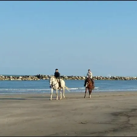 Gioiella Depandance Hotel 3*